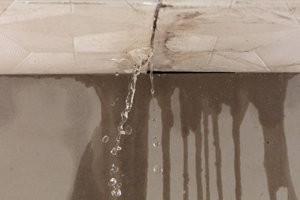 Professional Flood Damage Cleanup technician working in Walhalla, MI